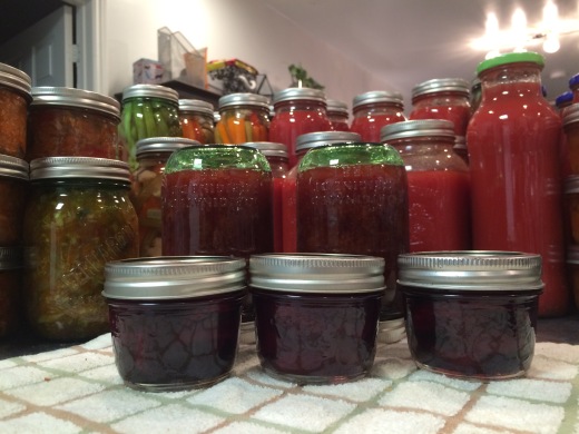 Canning Extravaganza aka the great scamazza of 2016